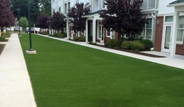 Artificial Turf installation