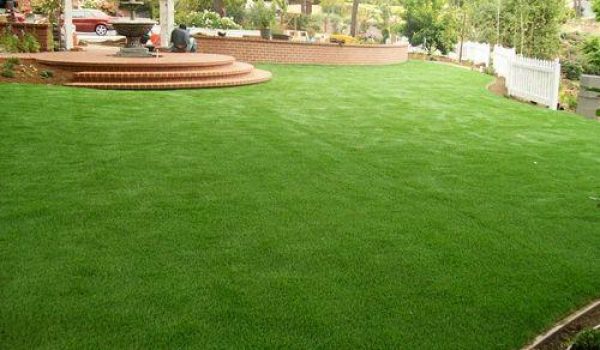 Artificial Turf installation