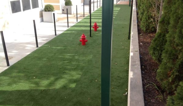 Artificial Turf installation