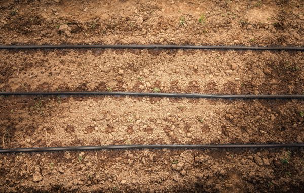 Drip Irrigation System Installation