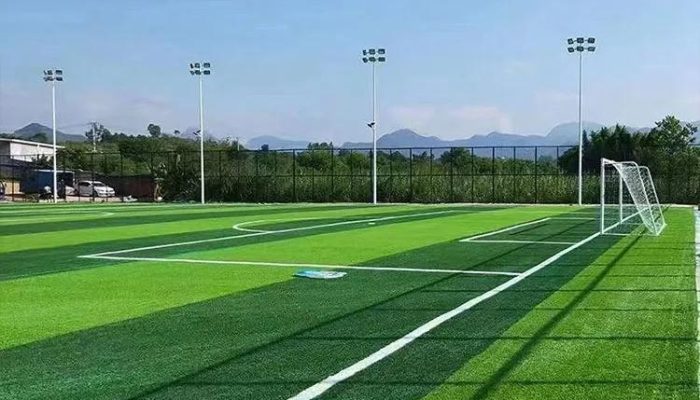 sports artificial turf (10)