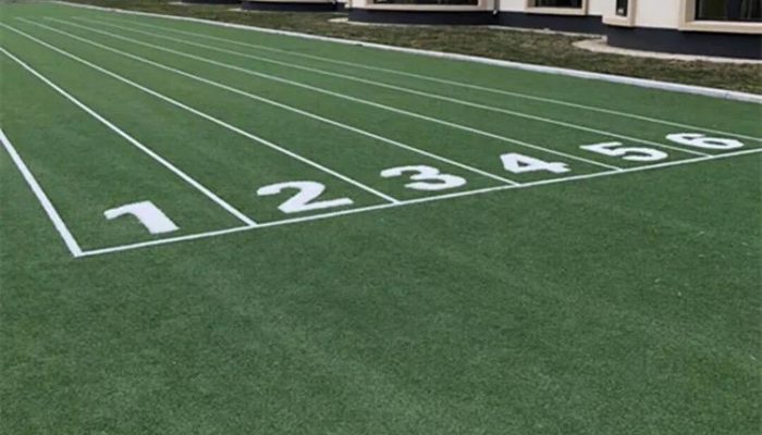 sports artificial turf (12)